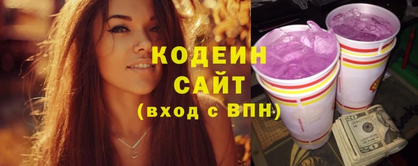 сатива Верея
