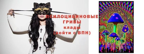 сатива Верея
