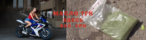 сатива Верея