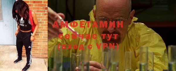 сатива Верея