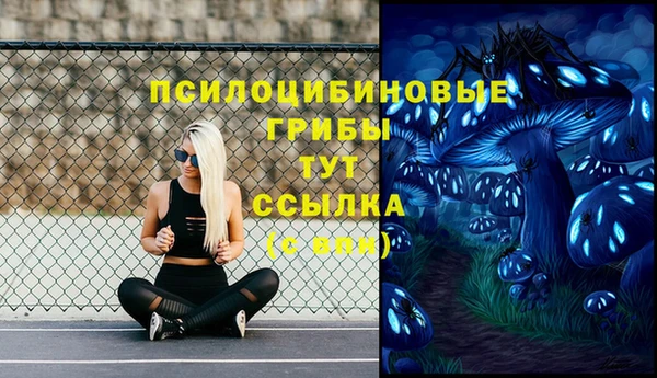 сатива Верея
