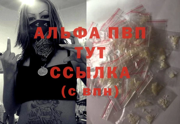 сатива Верея